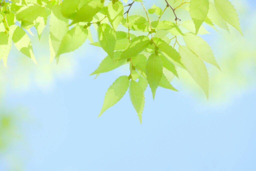 春光に包まれ、心新たに歩み出す3月